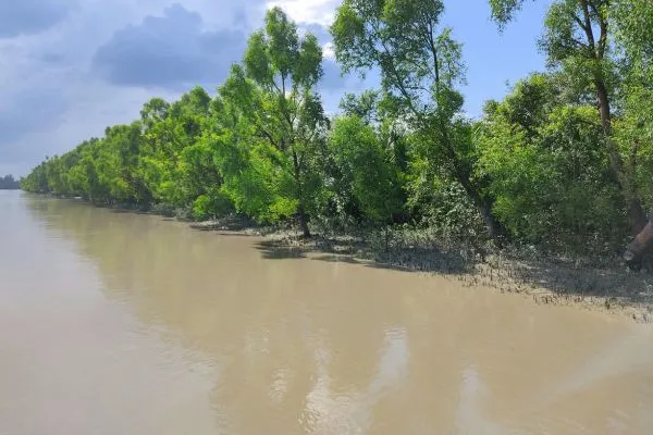 Sundarban Baina Tarvels About Image2