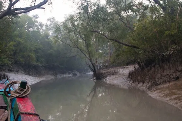 Sundarban 2 Nights 3 Days Canning To Canning