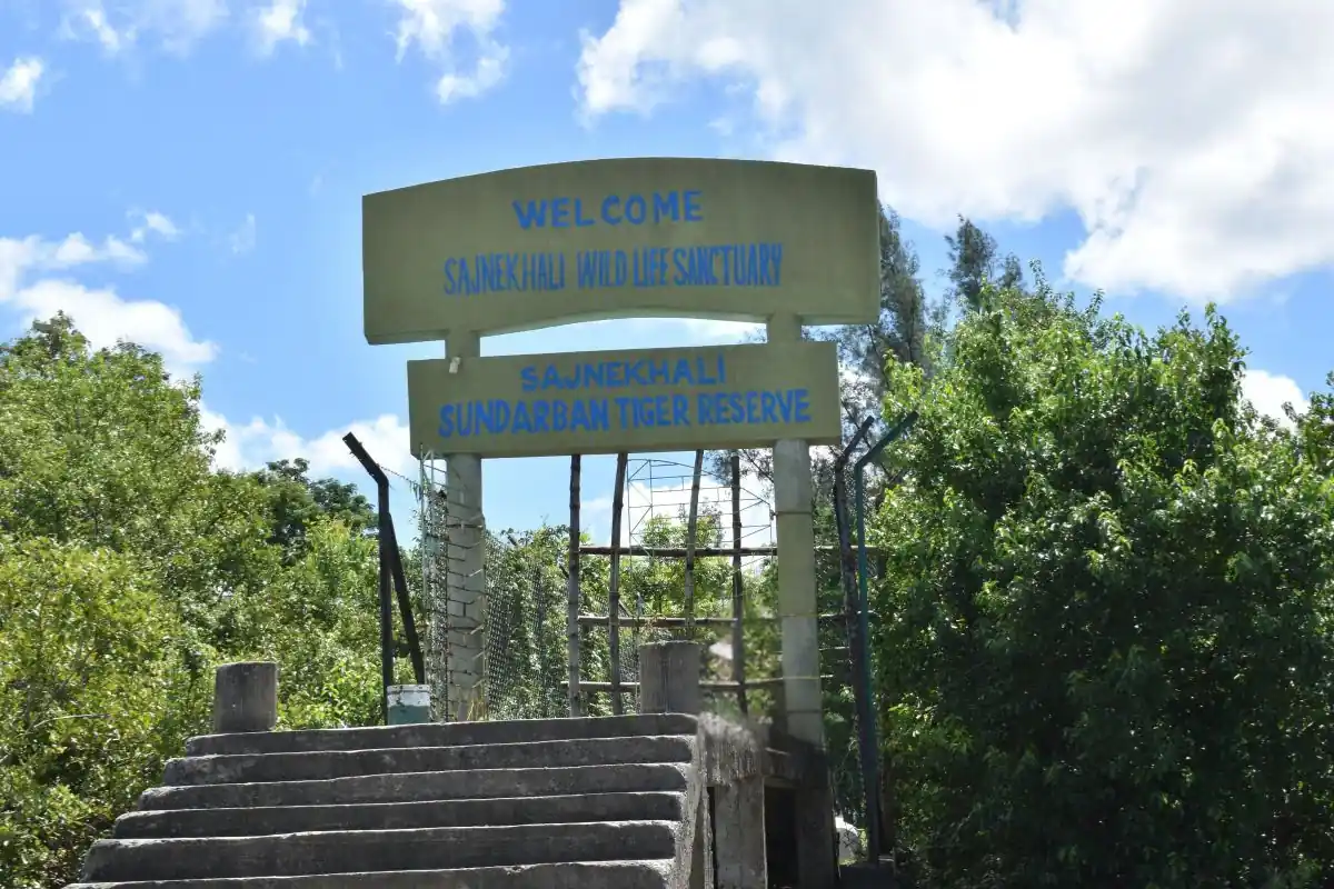 sajnekhali watch tower sundarban wildlife sanctuary