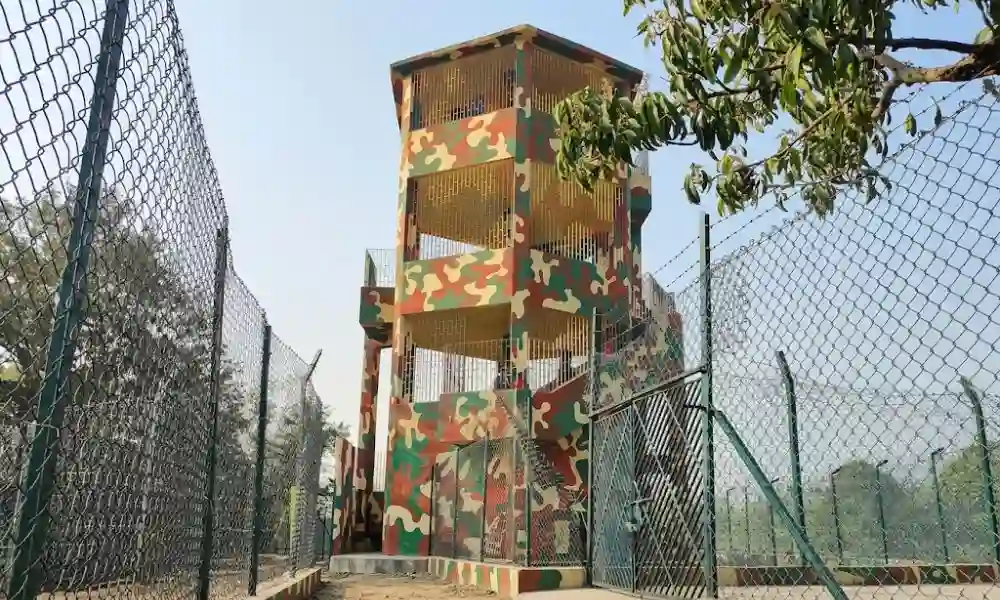 Sajnekhali Watch Tower during Sundarban Hilsa Festival wildlife safari tour