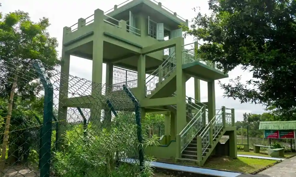 Sudhanyakhali Watch Tower during Sundarban Ilish Utsav wildlife safari