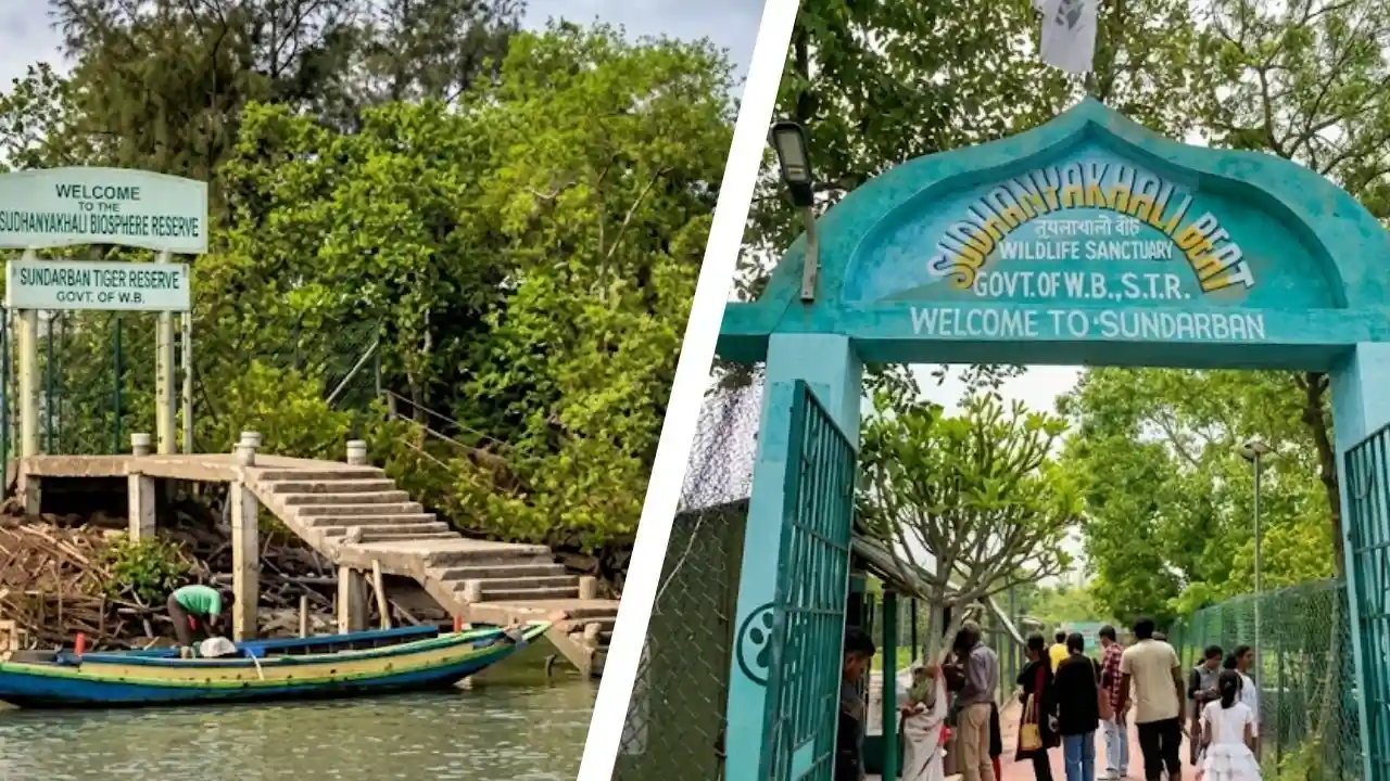Sajnekhali Watch Tower ferry ghat and Sudhanyakhali Watch Tower representing Sundarban sightseeing tour
