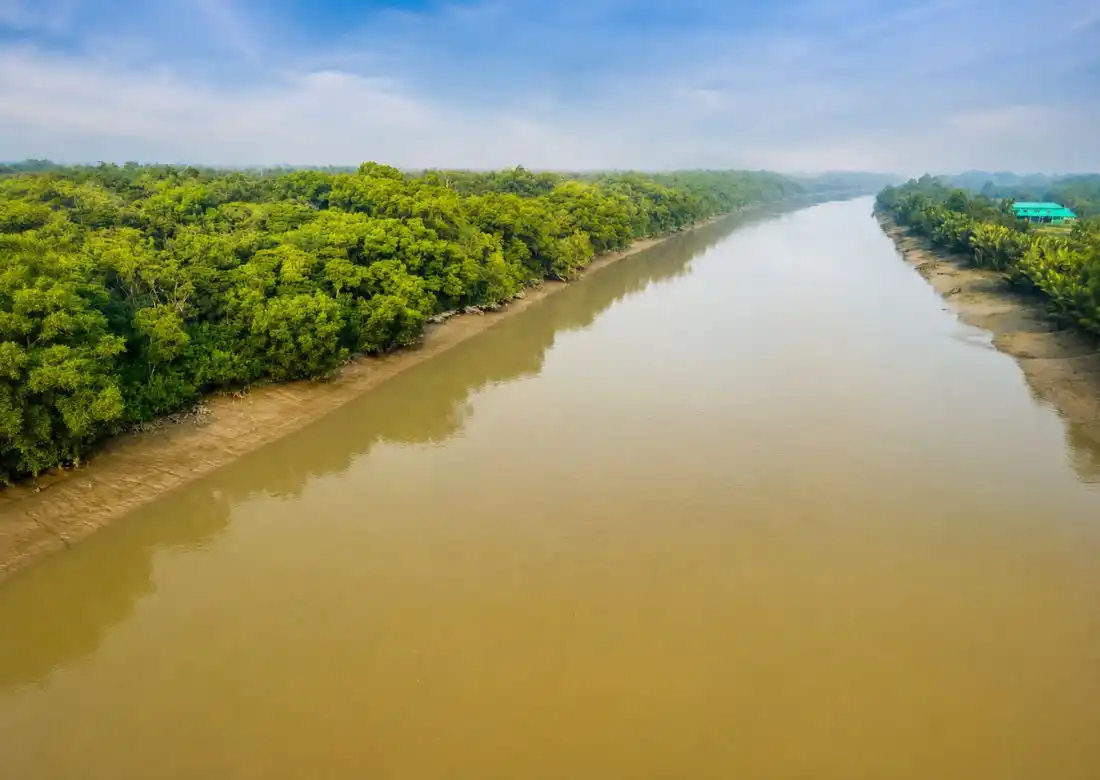 Sundarban travel agent showcasing river routes and mangrove forest travel planning services